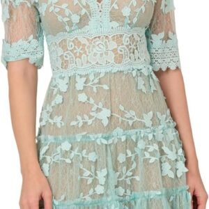 adrianna papell womens lace embroidery dress